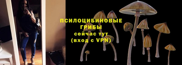 метамфетамин Бутурлиновка