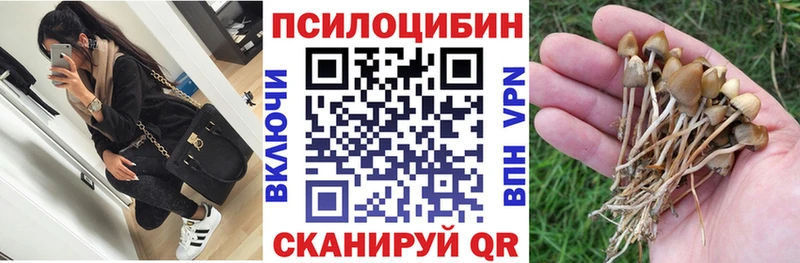 где продают наркотики  Калач-на-Дону  Псилоцибиновые грибы Psilocybine cubensis 